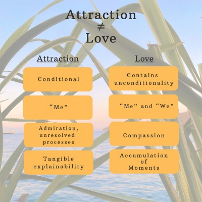 ATTRACTION IS NOT LOVE
