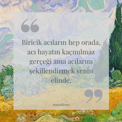 BİRİCİK ACILARIM