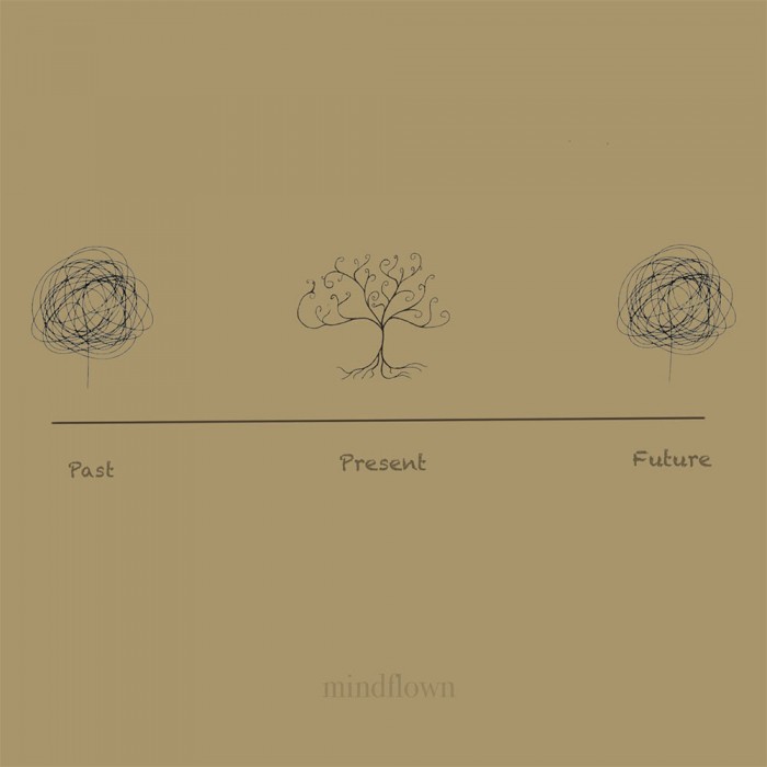 INTRODUCTION TO MINDFULNESS